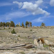 SouthernSierra 659 : SouthernSierra